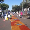 Tapetes de pó de serra sendo confeccionados pelos fiéis. Foto: Luciana Navarro. - Foto 3