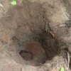 Local onde a menina de 10 anos foi enterrada viva pela própria mãe com ajuda do irmão de 13 anos. Foto:Polícia Civil. - Foto 1