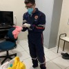  - Foto 3
