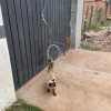 - Foto 3
