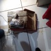  - Foto 1