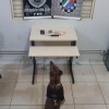  - Foto 4