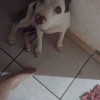  - Foto 2