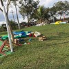  - Foto 1