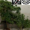  - Foto 3