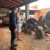  - Foto 4