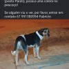 - Foto 1