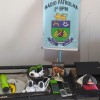  - Foto 3