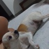  - Foto 3