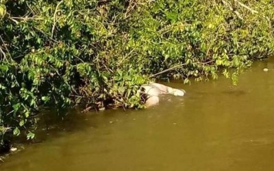 Corpo é encontrado enroscado em galhos no Rio Anhanduí