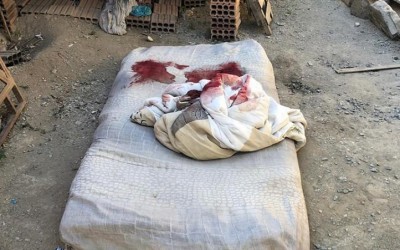 Jovem de 22 anos é morto a tiros enquanto dormia