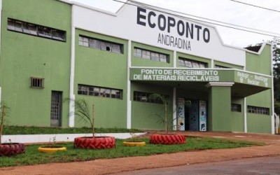 Governo de Andradina coleta pequenos animais mortos