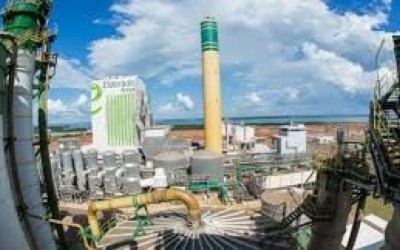 Eldorado contrata profissionais para trabalhar no MS e SP