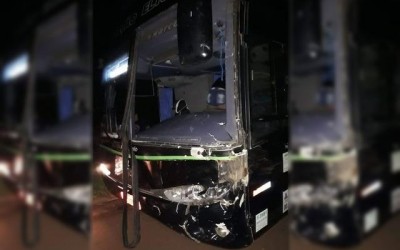 Excursão para o Parque dos Laranjais é interrompida após acidente com cavalo 