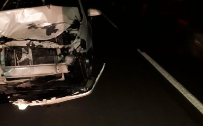 Anta tenta atravessar rodovia e causa acidente na BR-262, na região do Arapuá 