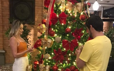 Mensagem: Site TL Notícias deseja um feliz Natal e próspero Ano Novo