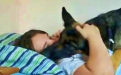 Homem flagra mulher na cama lhe traindo com cachorro