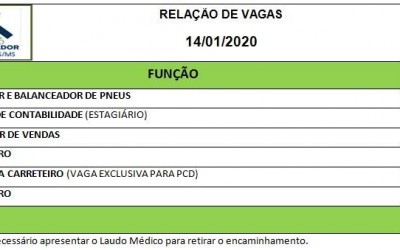 Consultor de vendas a motorista carreteiro; veja as 13 vagas de emprego para Três Lagoas 