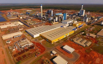 Exportações de papel e celulose continuam no topo em MS