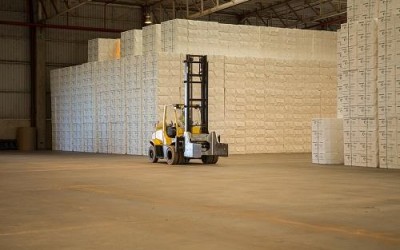 Celulose é líder absoluta nas exportações
