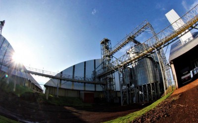 Empresa chinesa pretende contratar 300 pessoas em Maracaju