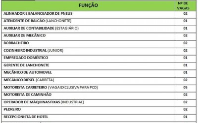 Motorista carreteiro a recepcionista; veja as 33 vagas de emprego para Três Lagoas 