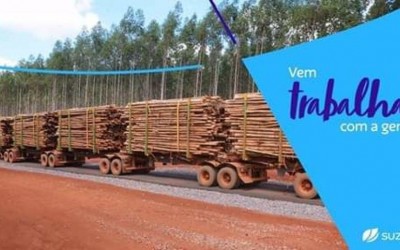 Suzano de Três Lagoas oferece 108 postos de trabalho