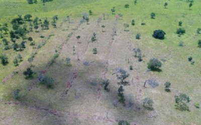 Por satélite, PMA descobre desmatamento ilegal e multa fazendeiro