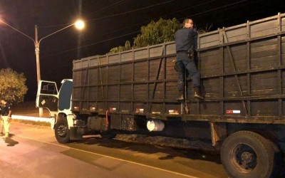 Em Três Lagoas, bois, vacas, novilhas e bezerros são apreendidos na BR-262