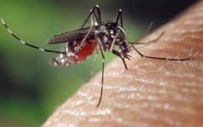 Primeiro caso de Zika Vírus é confirmado em Três Lagoas