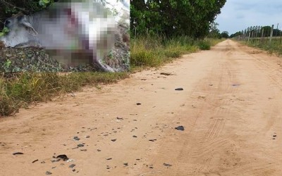 Touro que matou homem em acidente ataca PMs e é abatido à tiros em Três Lagoas 
