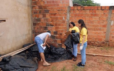 Nas primeiras semanas de maio, Três Lagoas já registra 45 casos de Dengue