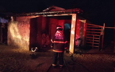 Bombeiros agem rápido e evita que cachorro morresse queimado em incêndio 