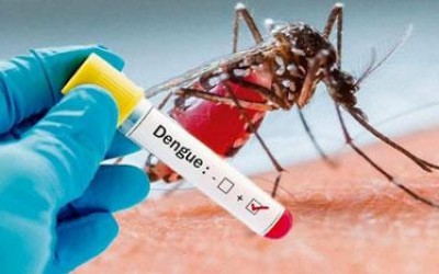 Dengue volta a subir e já somam 2.637 casos positivos em Três Lagoas 