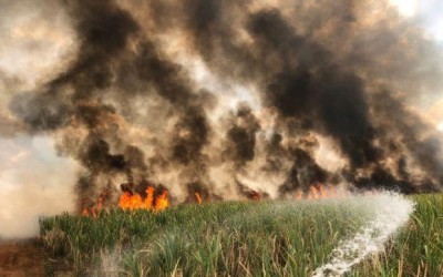Em Valparaíso, corpo de comerciante é encontrado após incêndio em canavial