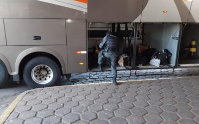 Cão farejador K9 auxilia na localização de drogas em ônibus na estação rodoviária 