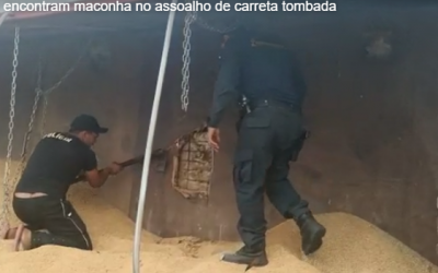 Carreta tomba e policiais rodoviários de Três Lagoas descobrem 600 quilos de maconha escondidas em assoalho  