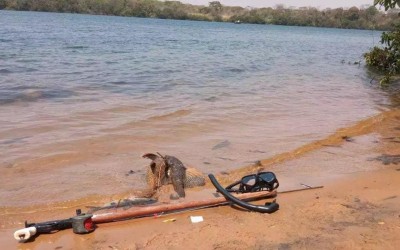 Homem é preso por pescar com arpão peixes fora da medida na região da 
