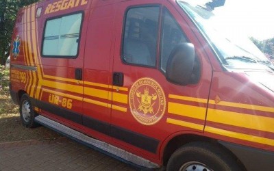 Dono de oficina mecânica morre após ser picado por abelhas em fazenda na região de Três Lagoas 