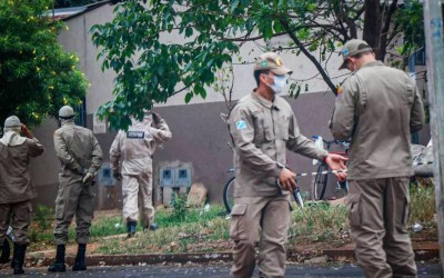 Após morte de dono de oficina que foi atacado por abelhas, bombeiros dão dicas para evitar ataques 