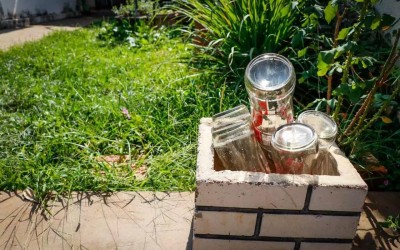 Mesmo sem chuva, Três Lagoas tem 2.757 notificações por dengue em um mês 