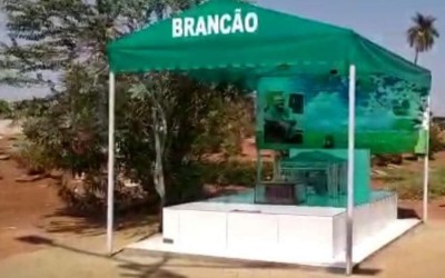 Túmulo é palco e toca chamamé do músico e compositor Brancão