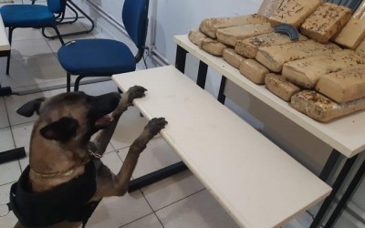 Suposto traficante preso na rodoviária usou RG em nome de outra pessoa para burlar fiscalização da PM 