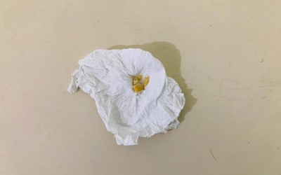 Idoso que estava com drogas perto de escola é detido pela PM