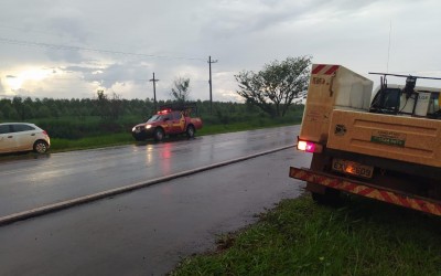 Após vendaval, fios de alta tensão rompem e causam incêndio em pastagem às margens da BR-262