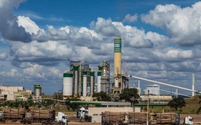 750 vagas de emprego são abertas por empresa de celulose