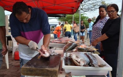Inscrições para Feira do Peixe vai até p dia 24 de março em Três Lagoas 