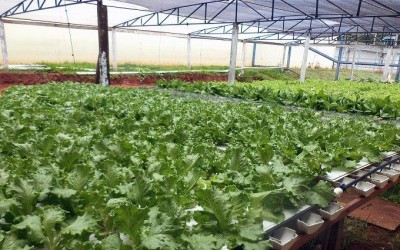 Presídio de Três Lagoas garante indicação ao Prêmio Innovare