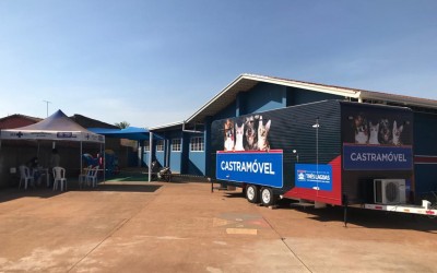 Castramóvel começa a atender cães e gatos no Bairro Oiti