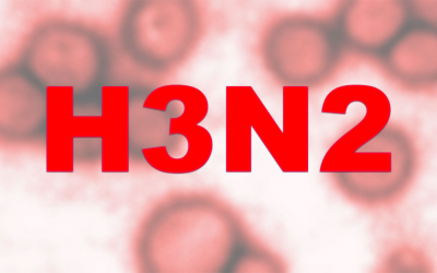 SMS confirma dois casos positivos para H3N2 em Três Lagoas